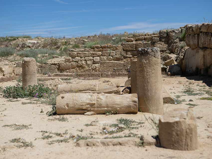 Yacimiento Los Bañales y su Barrio Septentrional