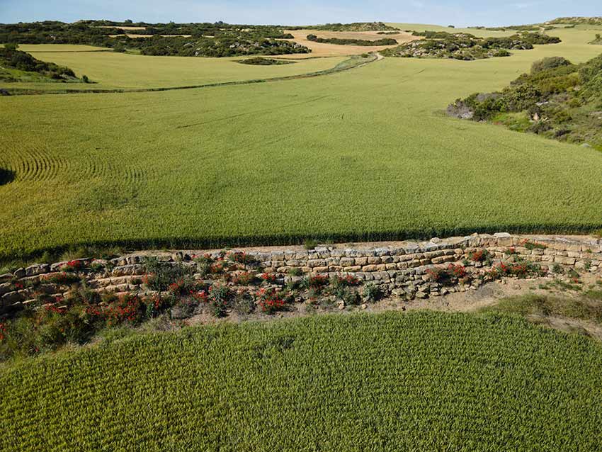 La presa de Los Bañales - Yacimiento romano en Aragón