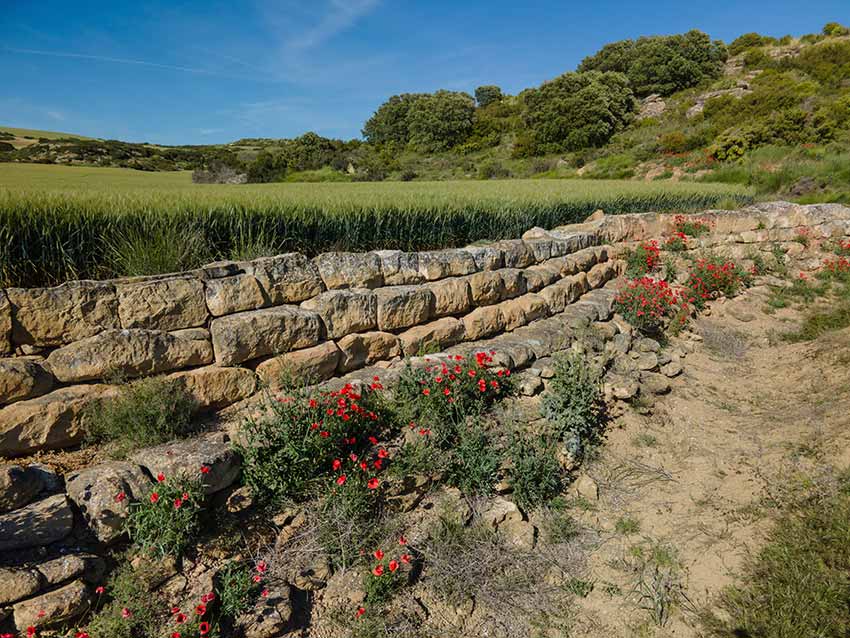La presa de Los Bañales - Yacimiento romano en Aragón