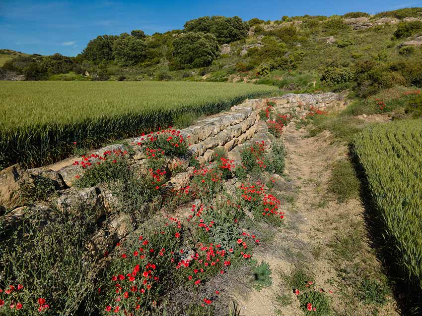 Antigua presa de Los Bañales - Yacimiento romano en Aragón