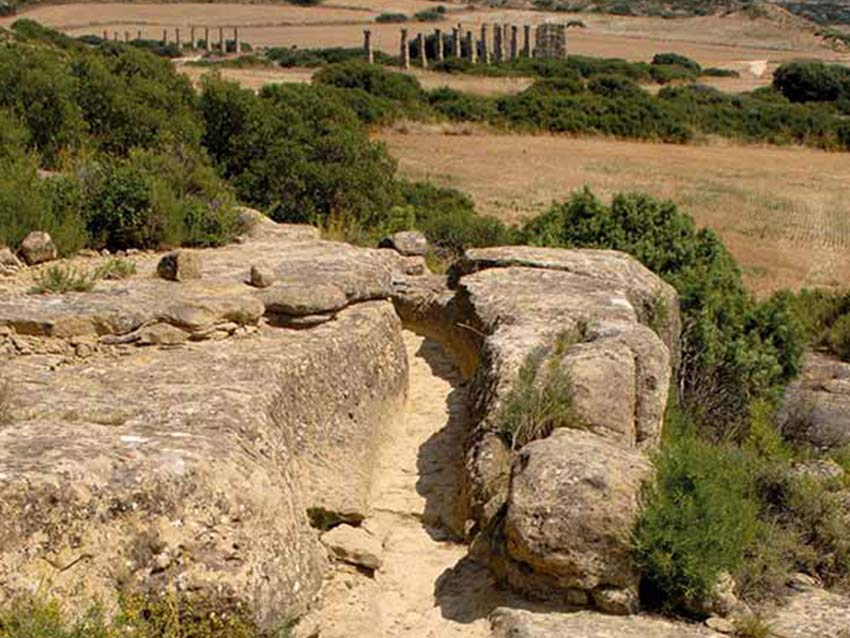 Specus - Yacimiento arqueológico romano de Los Bañales