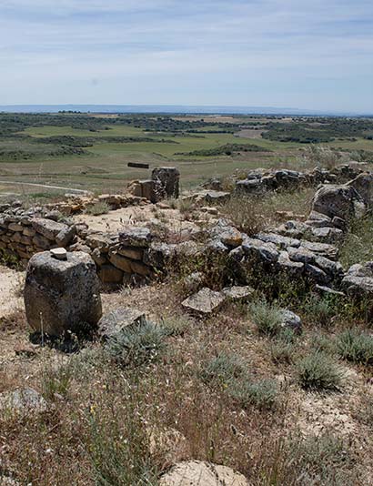 Foro Yacimiento romano de Los Bañales