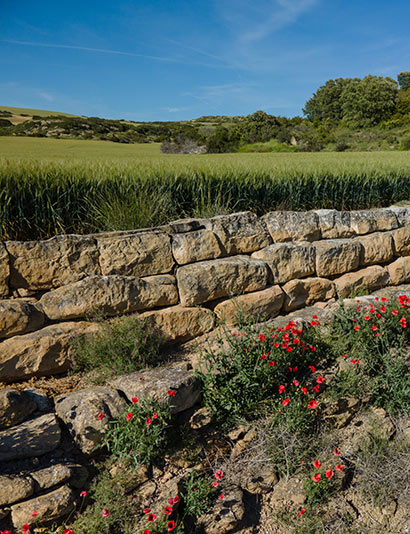 Presa Yacimiento romano de Los Bañales
